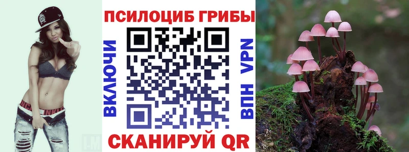 закладки  Белинский  Псилоцибиновые грибы ЛСД 